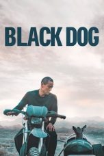 Black Dog 狗阵 (2024)