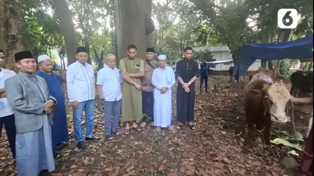 Rayakan Idul Adha, PSSI dan Timnas Indonesia Kurban Sapi ke Masjid Al Bina